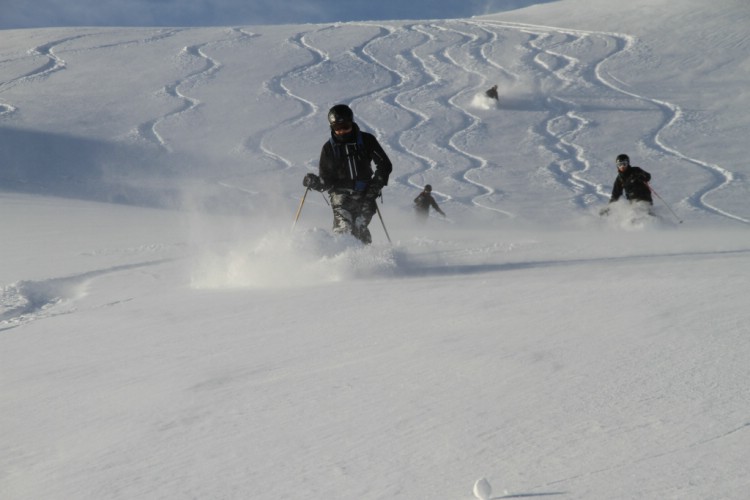 Puderåkning, Heliski Riksgränsen. Foto: Andreas Bengtsson